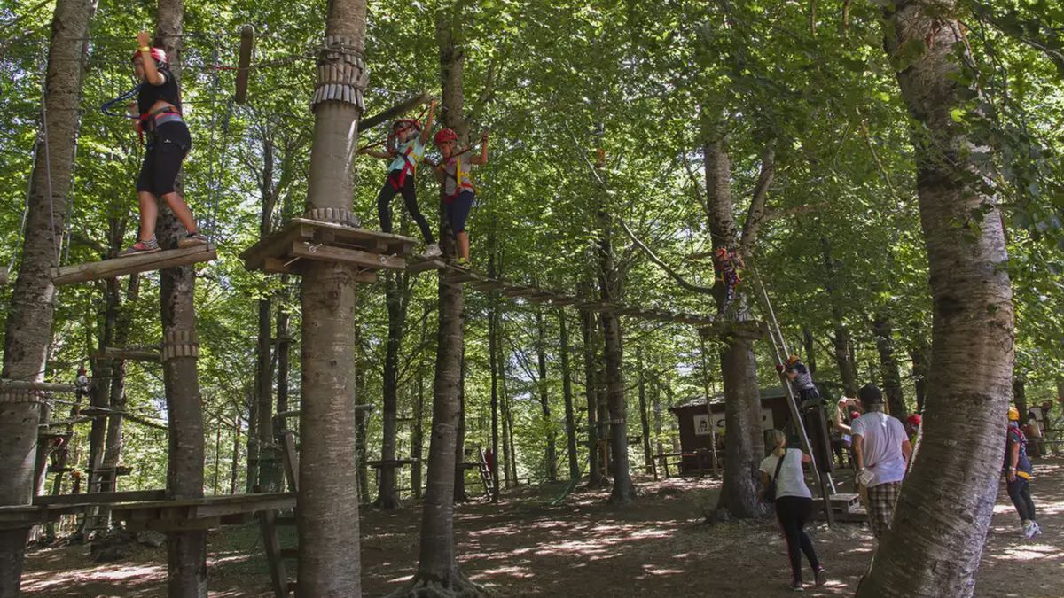   - Parco avventura nella Sila a Tirivolo