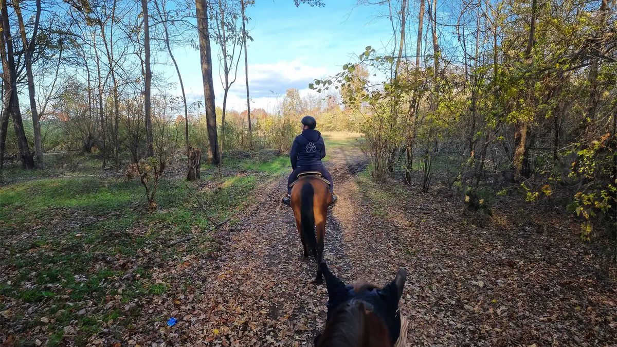   - Passeggiata a cavallo tra i boschi a San fermo della battaglia