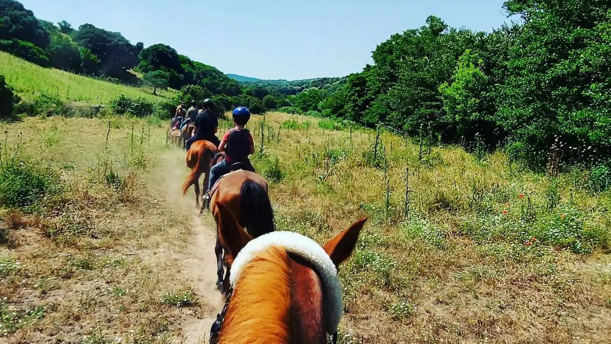   - passeggiata a cavallo in Gallura  a Arzachena