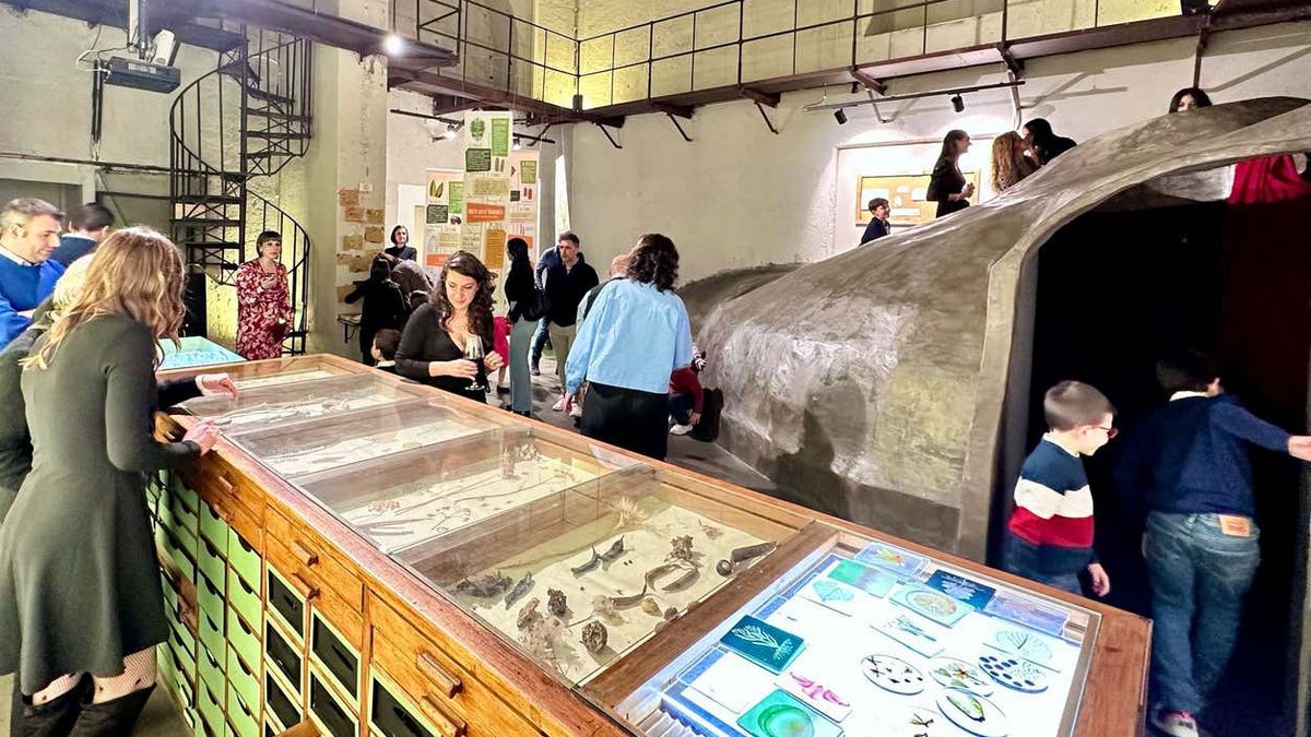   - Radici, Piccolo Museo della Natura a Palermo