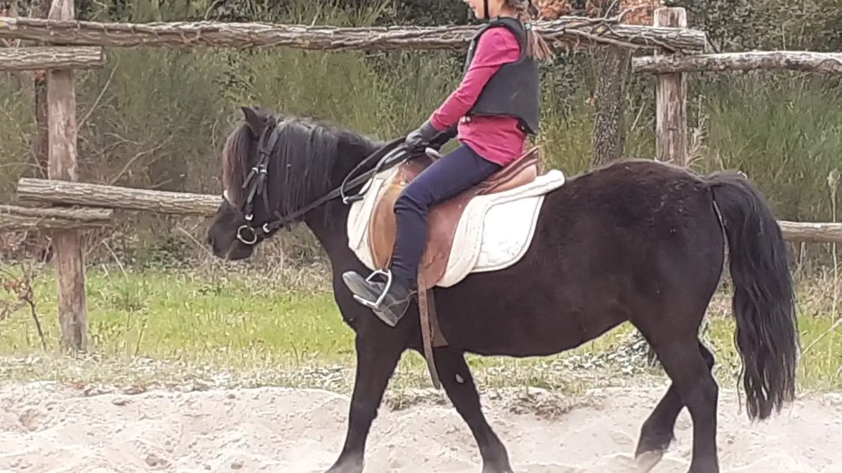   - Battesimo della sella su pony per bambini in provincia di Firenze a Reggello