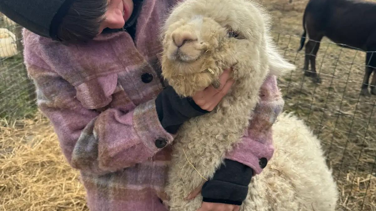   - Visita guidata in fattoria e laboratorio per bambini in provincia di Lucca a Capannori