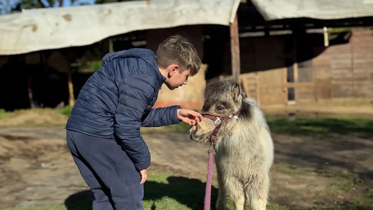   - Passeggiata con i pony più piccoli del mondo a Venasca