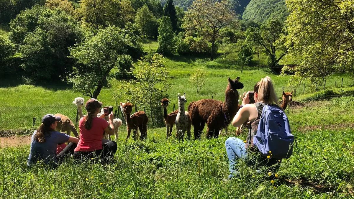   - Esperienza in fattoria didattica a Lastebasse