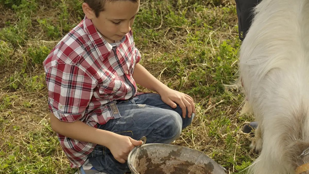   - Fattoria didattica e degustazione vini e specialità siciliane a Partinico