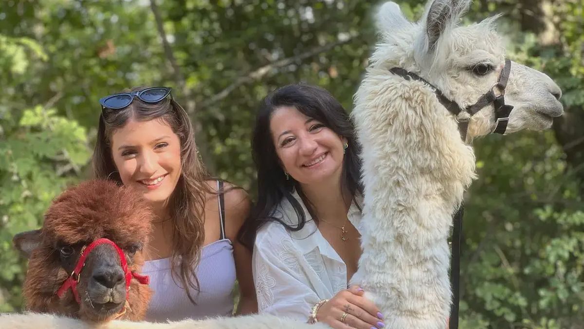   - Passeggiata con alpaca e lama a Scandicci