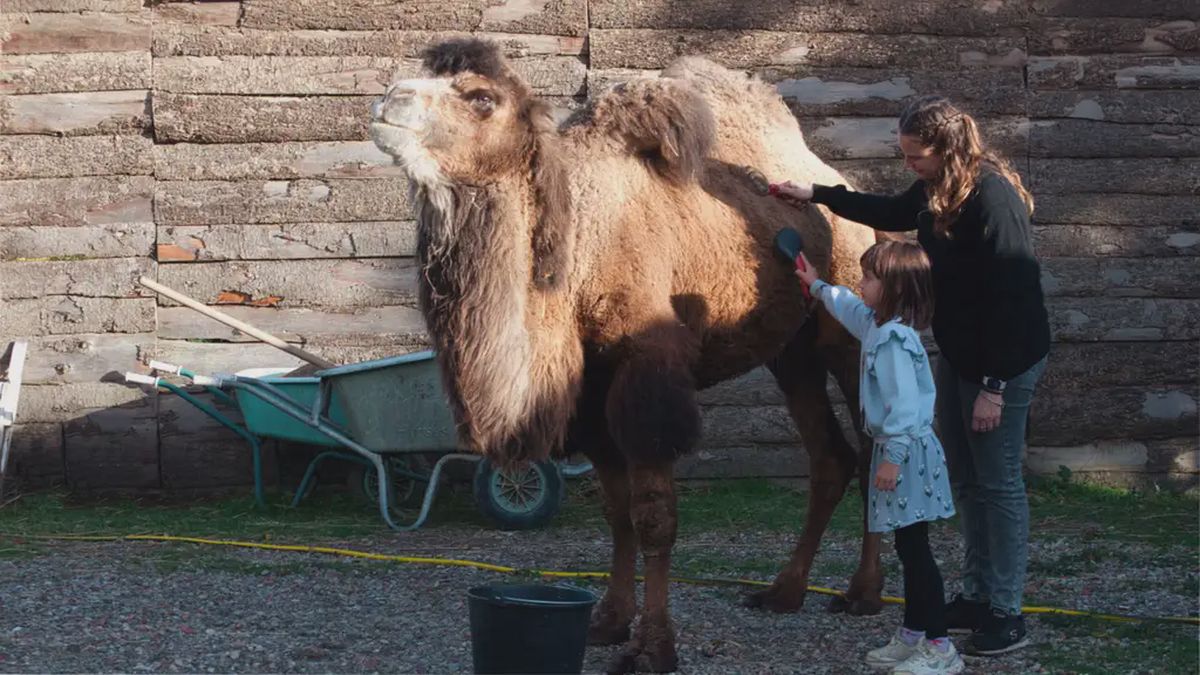   - Giornata da Robin Hood a Anghiari