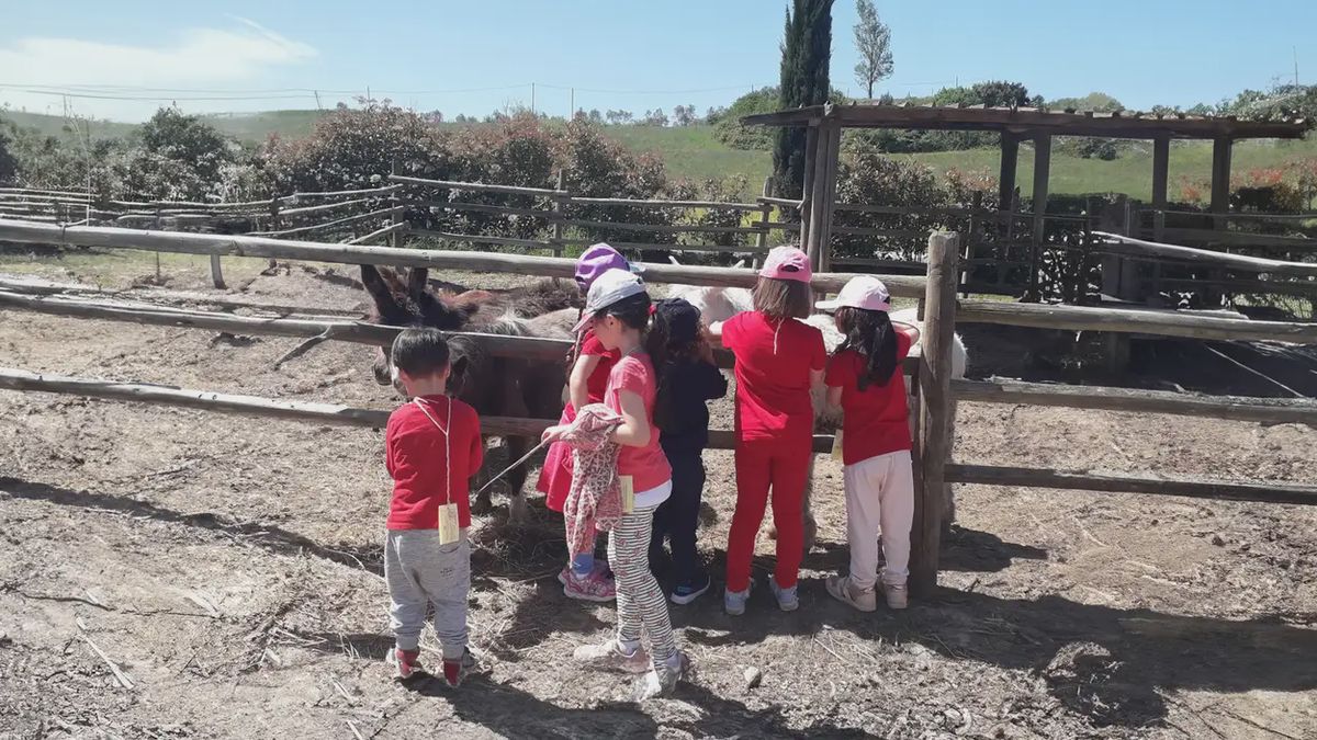  - Esperienza in fattoria didattica a Gambassi Terme
