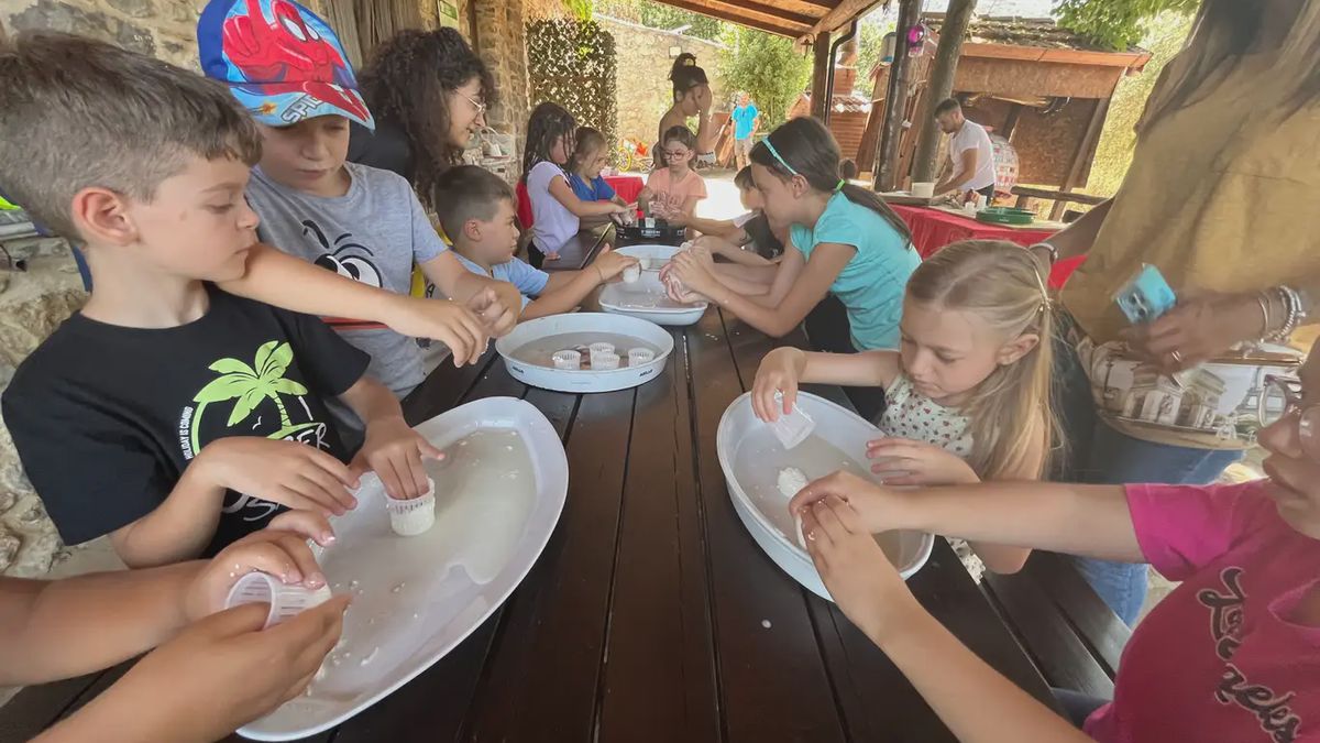   - Esperienza in fattoria didattica e laboratorio di cucina nel Parco del Pollino a Viggianello