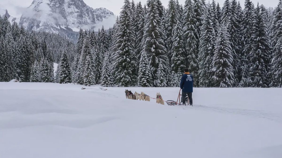   - Esperienza di sleddog nella Val Comelico a Santo Stefano di Cadore