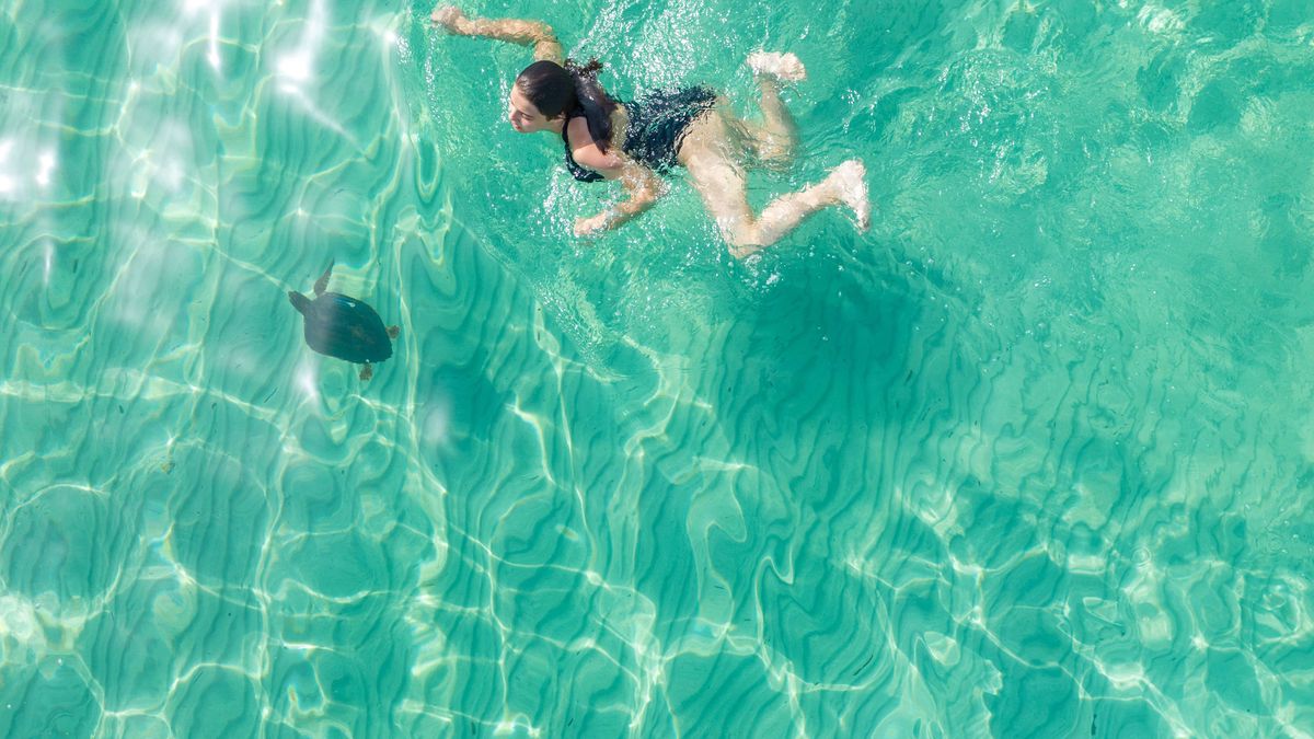   - Vivosa Apulia Resort a Marina di Ugento