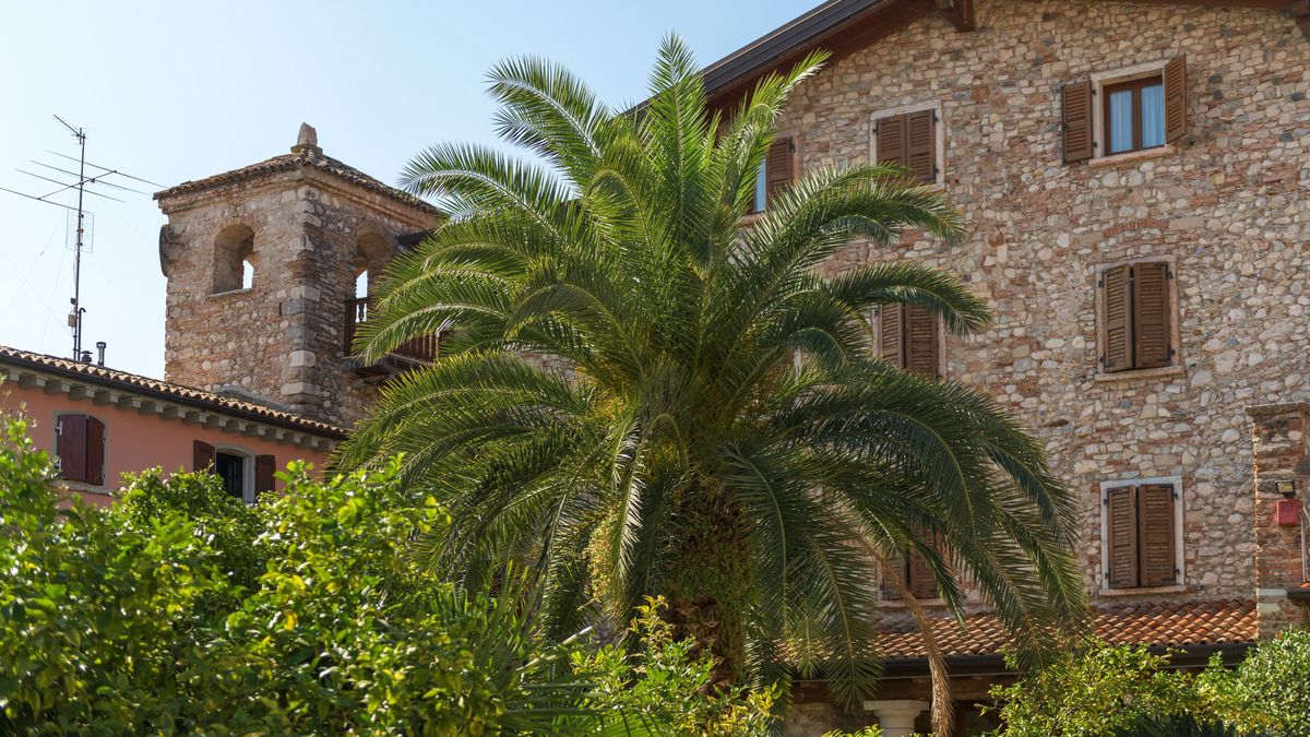  Backyard - Hotel Antico Monastero a  Toscolano-Maderno 