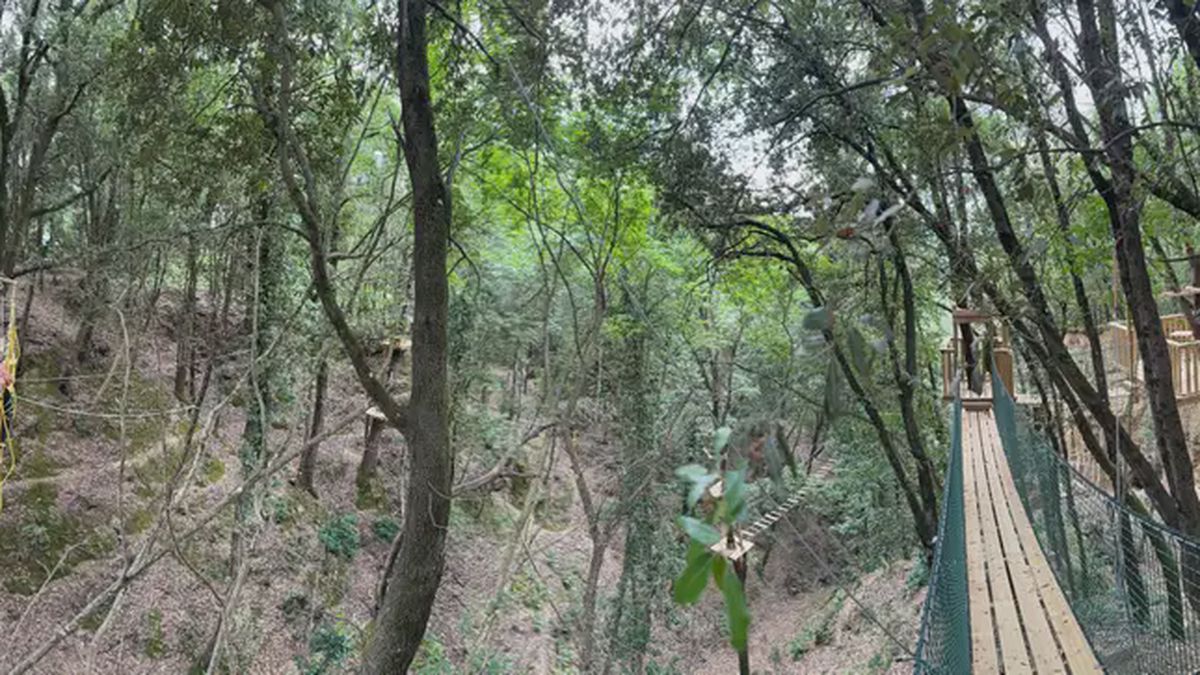   - Parco avventura Vicino a Firenze a Reggello