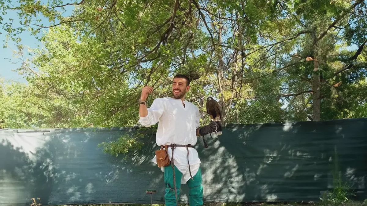   - Falconiere per un giorno in provincia di Parma a Fontanellato