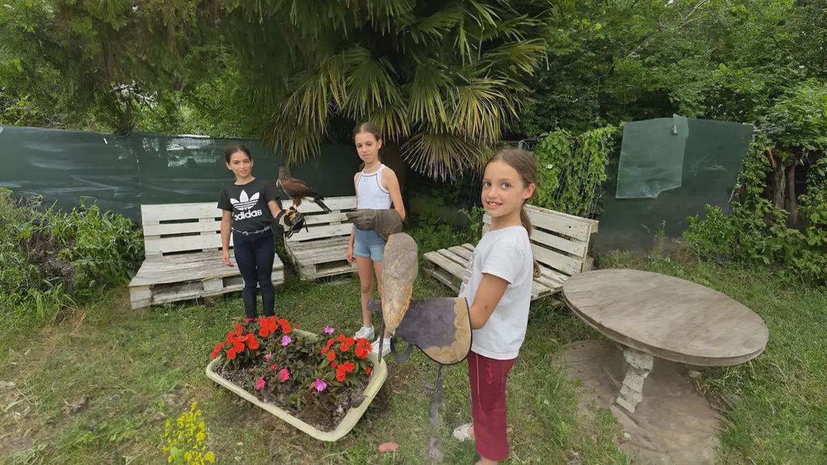   - Battesimo del guanto in provincia di Piacenza a Carpaneto Piacentino