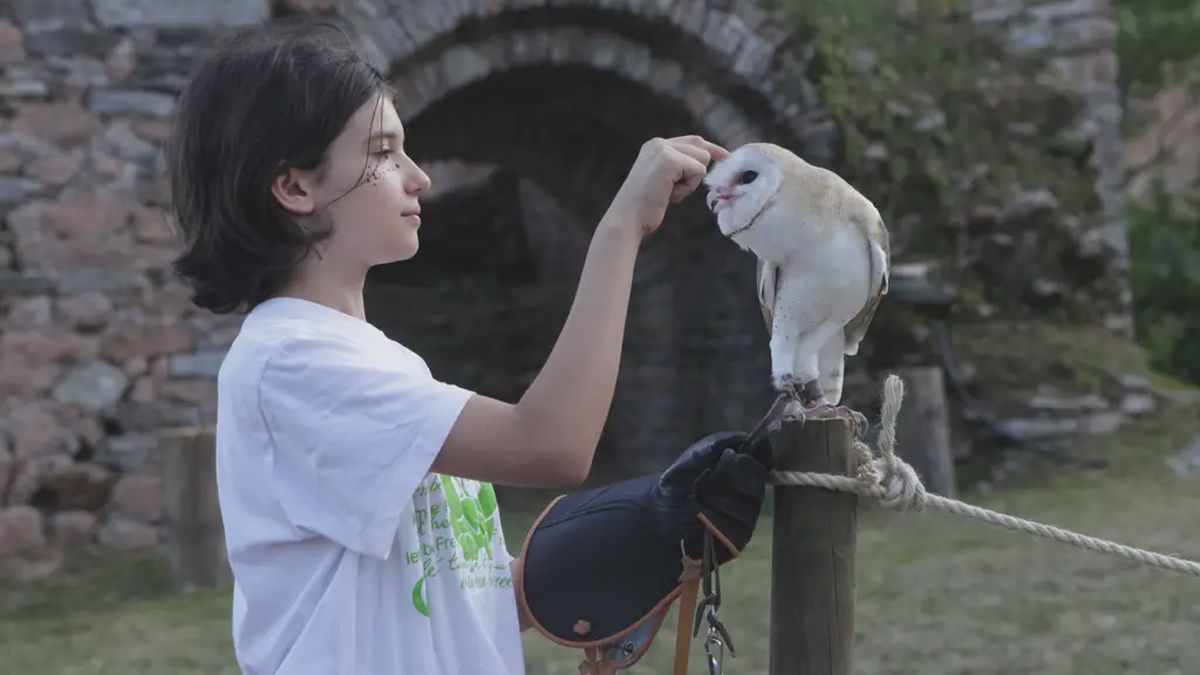   - Passeggiata con i rapaci vicino Varese a Casalzuigno