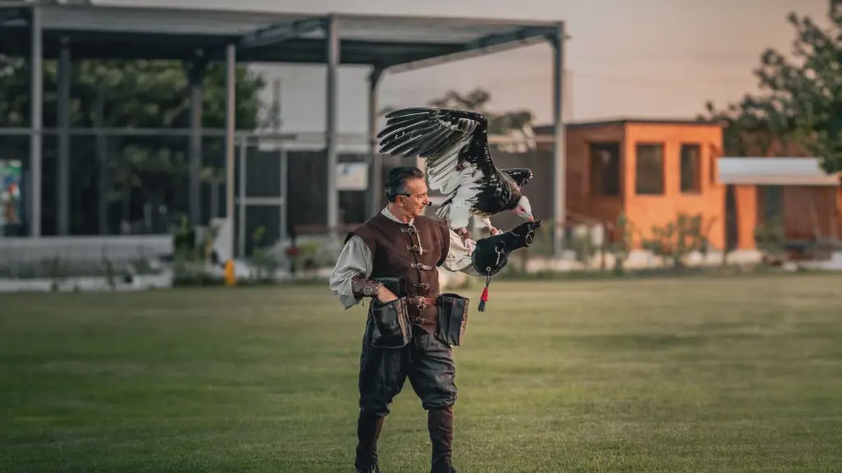  - Falconiere per un giorno in Salento a Salice Salentino