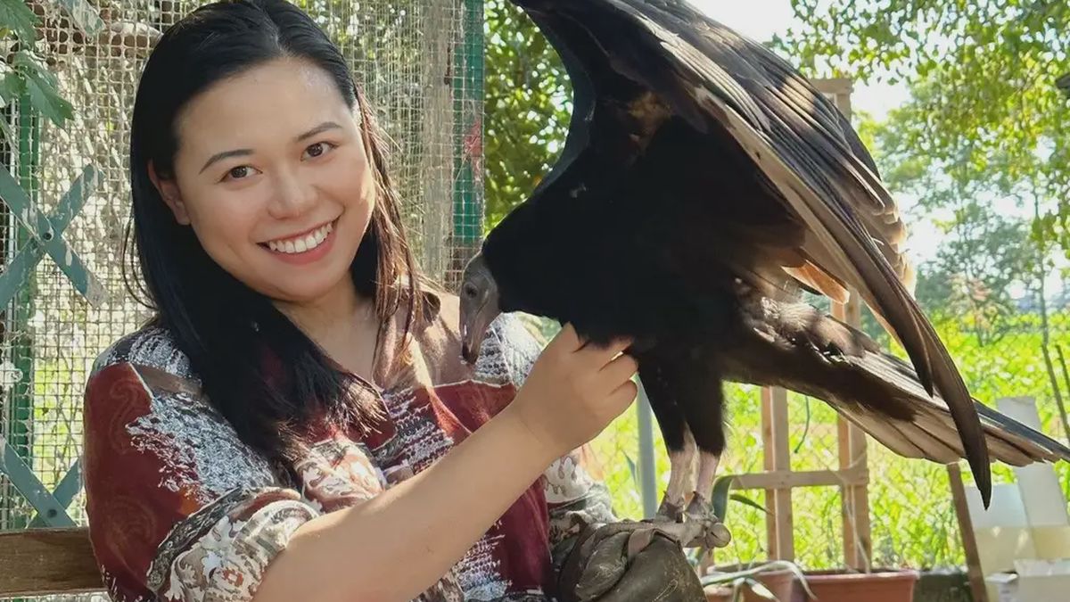   - Incontro con rapaci Vicino a  Vicenza a Barbarano Mossano