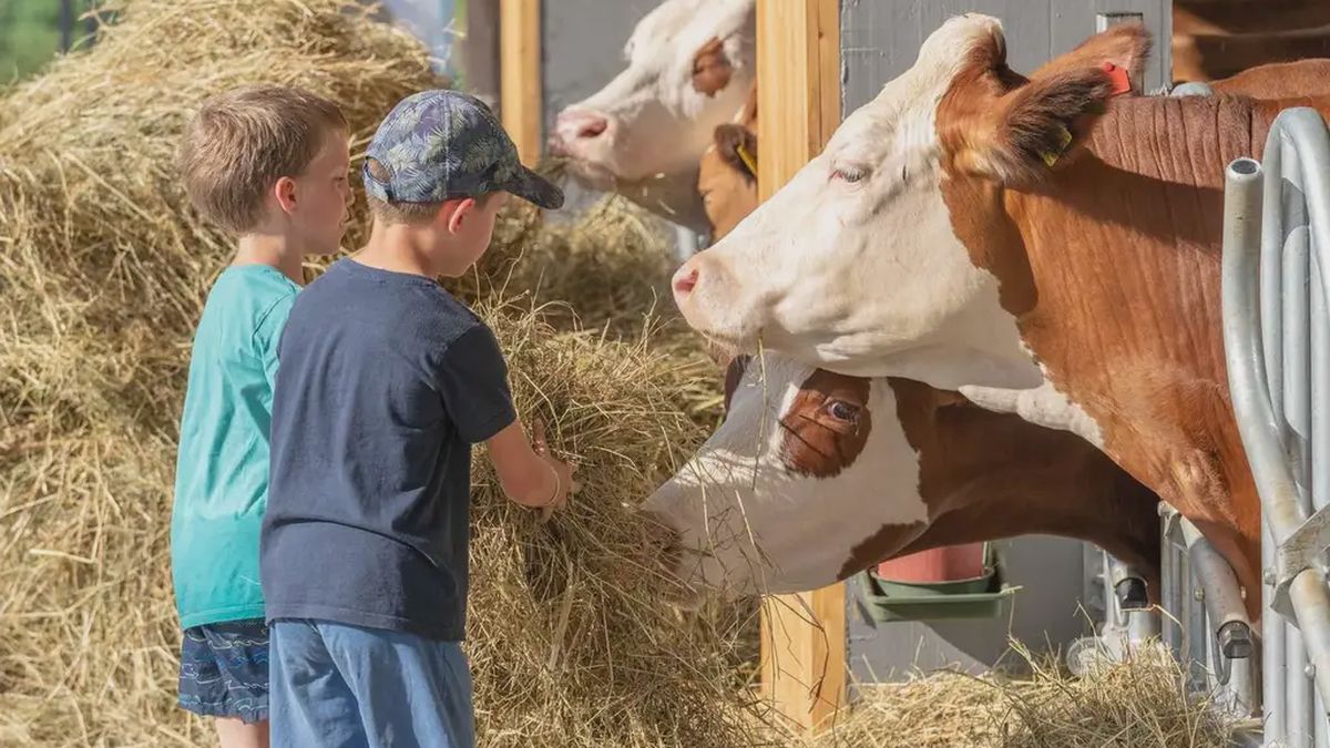   - Esperienza di fattoria didattica in provincia di Trento a Arco