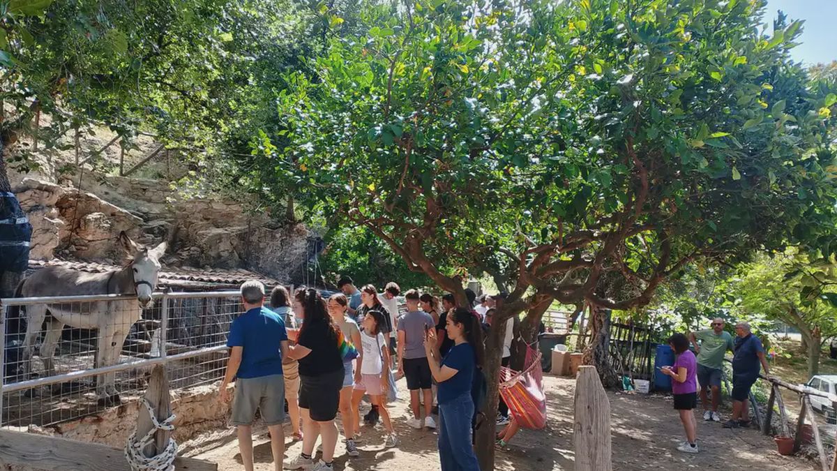   - Fattoria didattica in Calabria a Paola