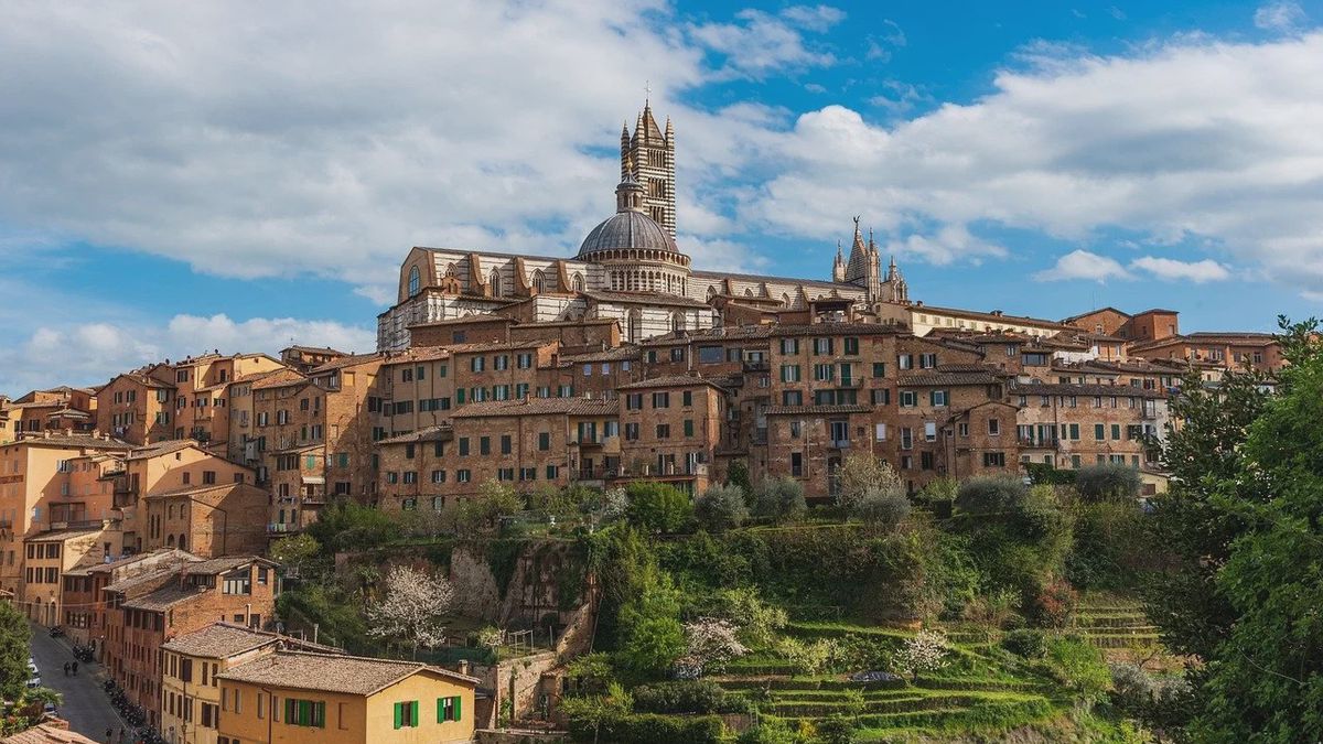   - Caccia al tesoro a Siena: esplorare la città giocando a Siena