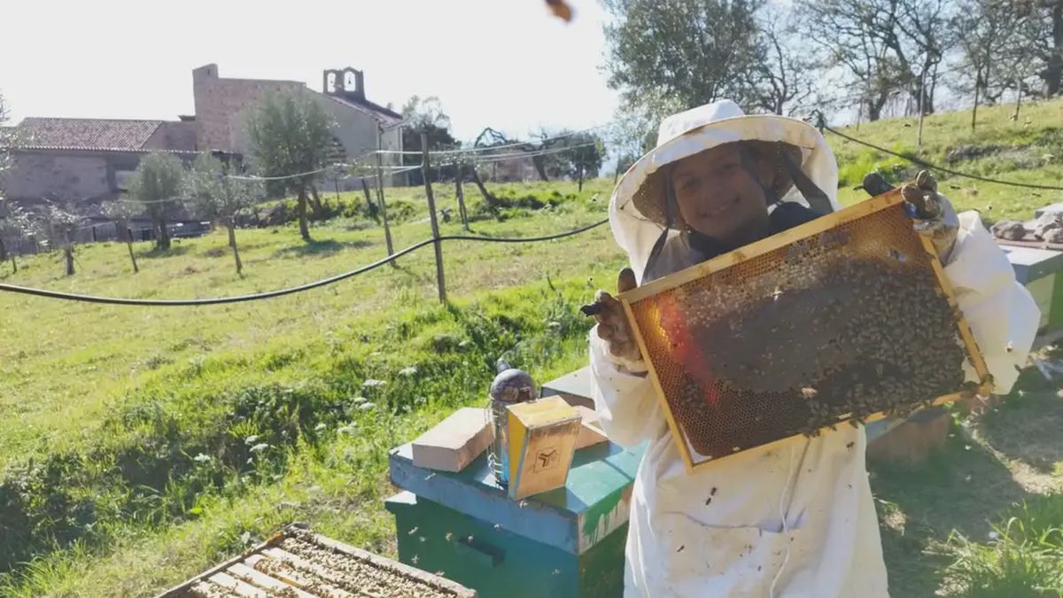   - Apicoltore per un giorno a Paola