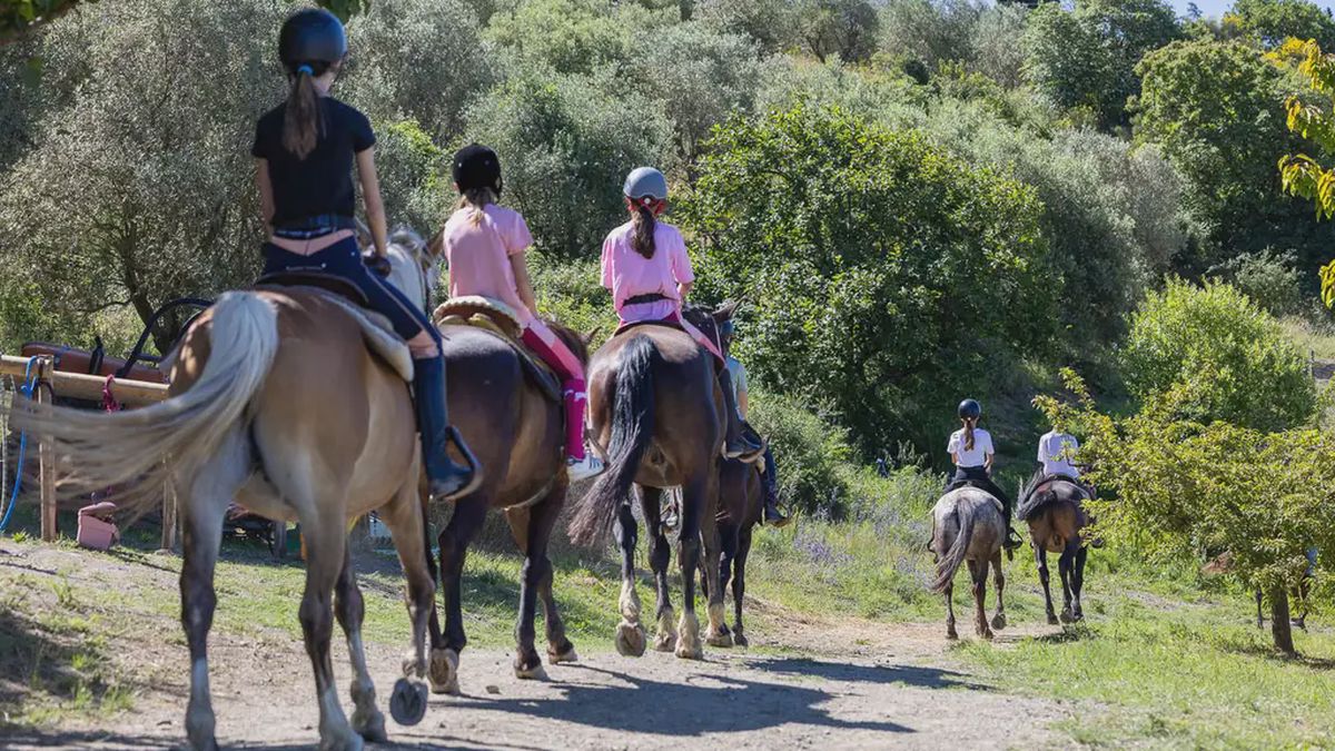   - Passeggiata a cavallo con picnic a Gambassi Terme