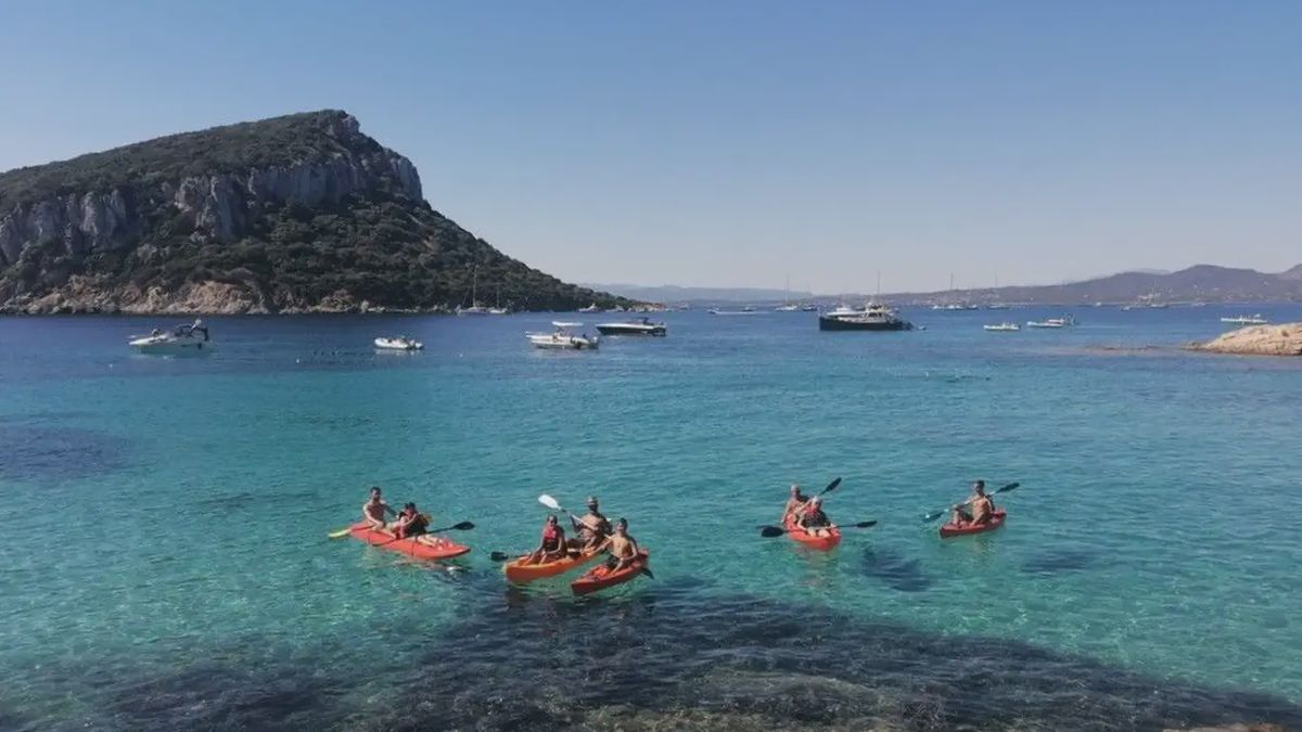   - Tour in kayak con avvistamento delfini e aperitivo a Golfo Aranci