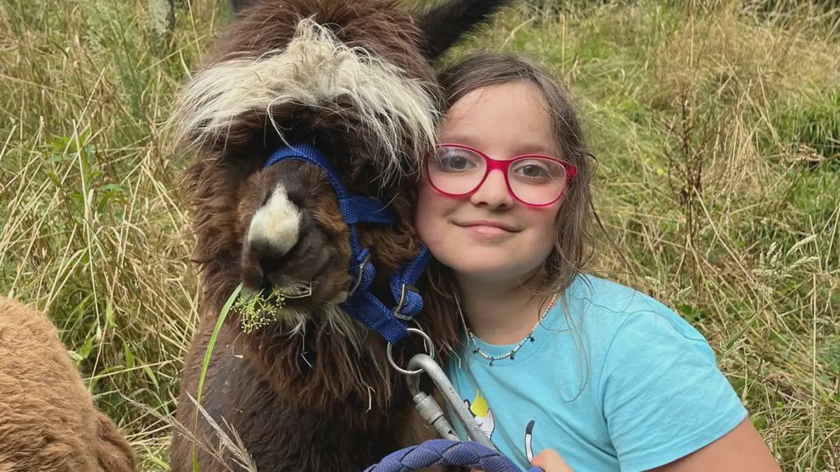   - Passeggiata con alpaca privata vicino a Genova a Sant