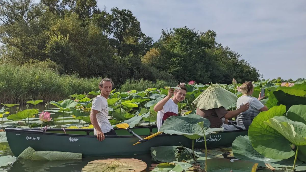   - Tour in canoa canadese sul Lago di Varese all