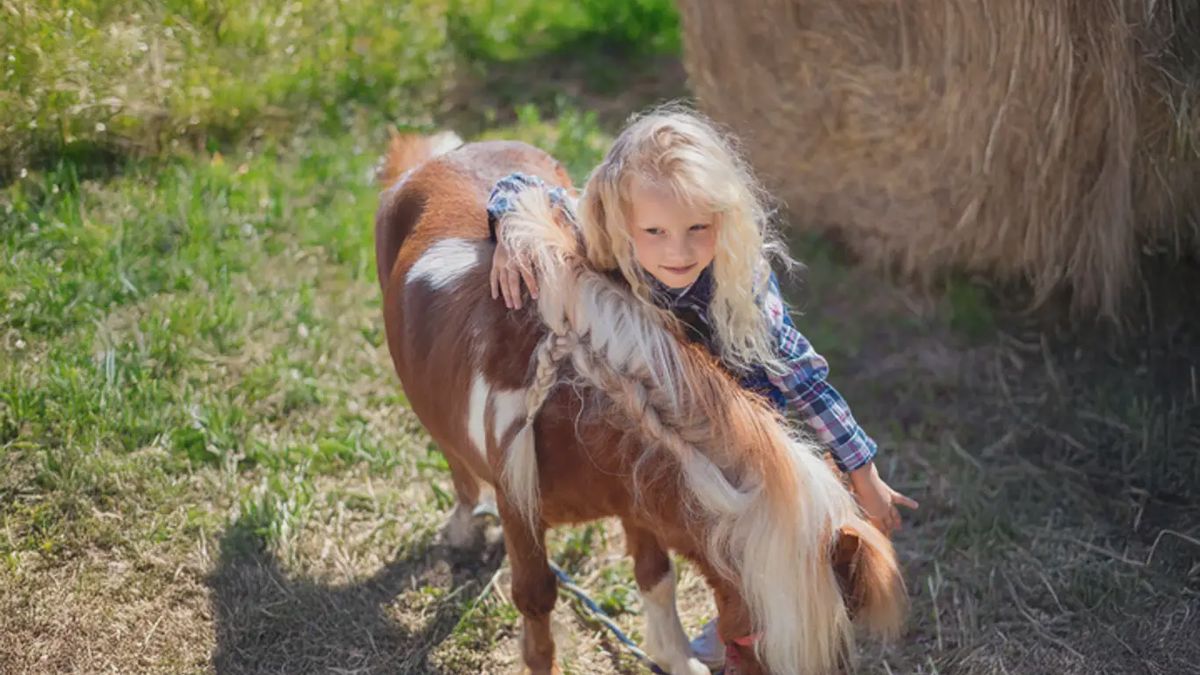   - Esperienza con pony sulle colline di Sanremo a Sanremo