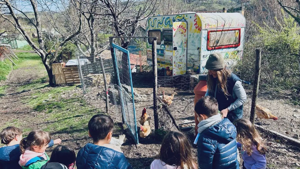   - Visita in fattoria con merenda sulle colline Bolognesi a Monte San Pietro
