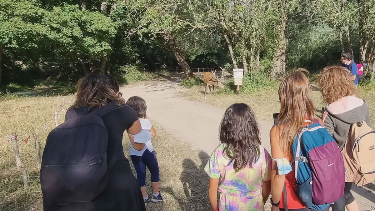  - Trekking tour nella "Terra dei Cervi" nel Parco Nazionale d