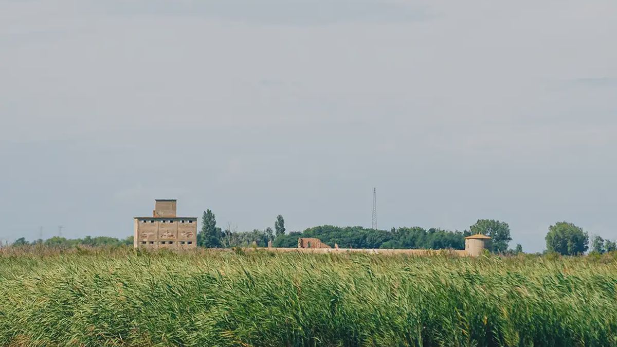   - Escursione in barca a Scano Boa nel Parco del Delta del Po a Porto Tolle