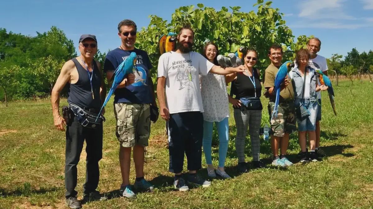   - Passeggiata esotica con pappagalli  a Verrua Po