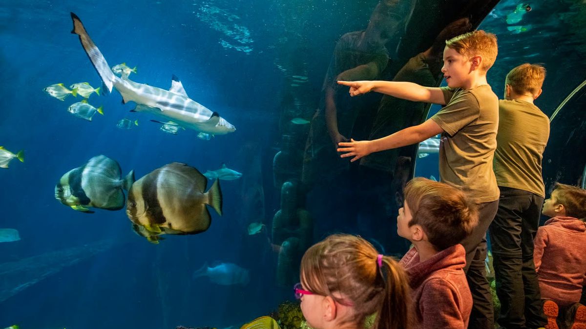   - SEA LIFE München a München