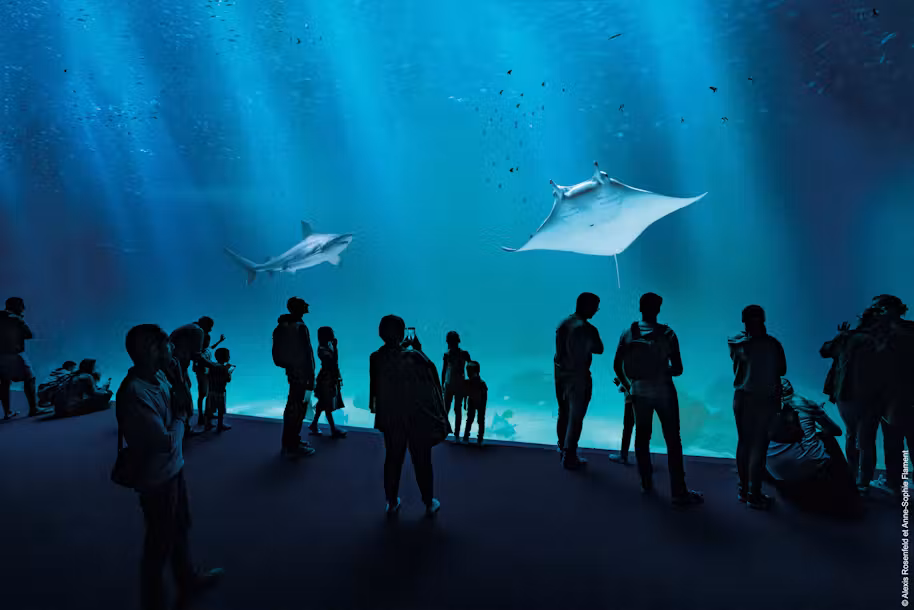   - Acquario Nausicaá a Boulogne-sur-Mer