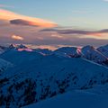 Alpi