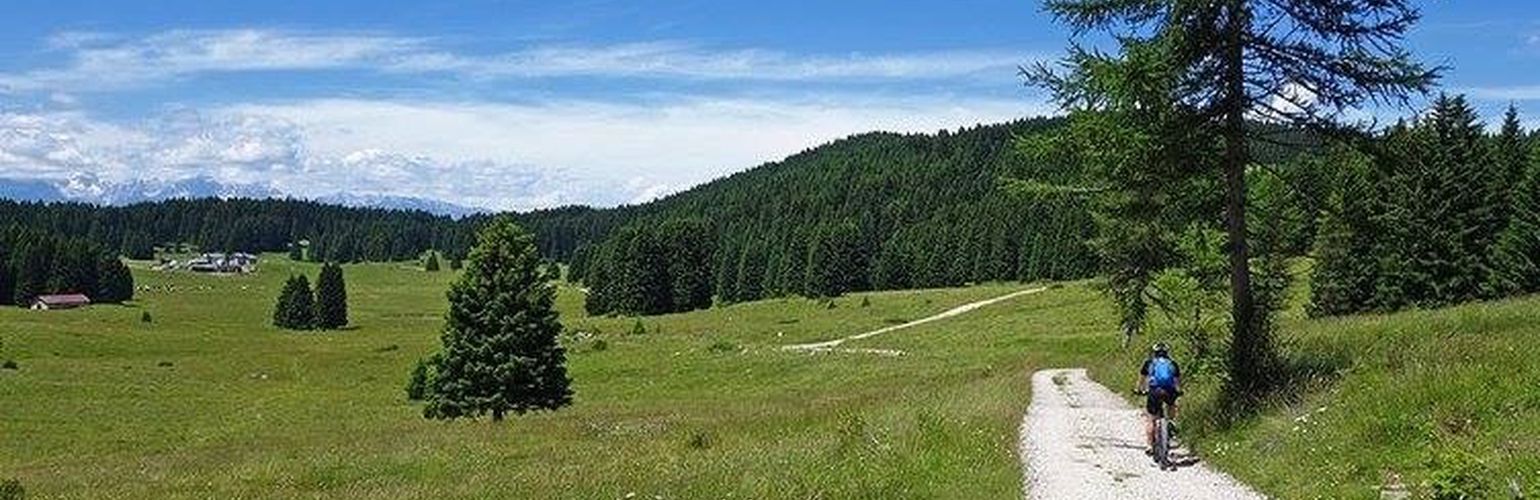 Le e-bike, perfette per una pedalata in montagna, ma non solo!