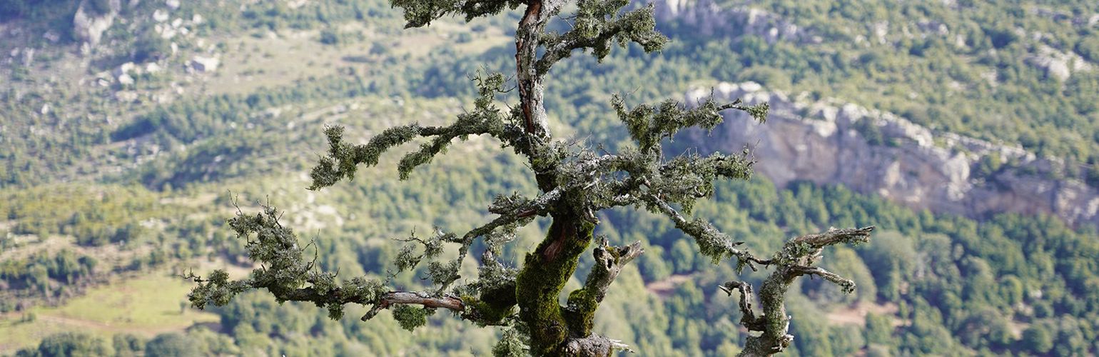 Cosa vedere nell'entroterra della Sardegna coi bambini