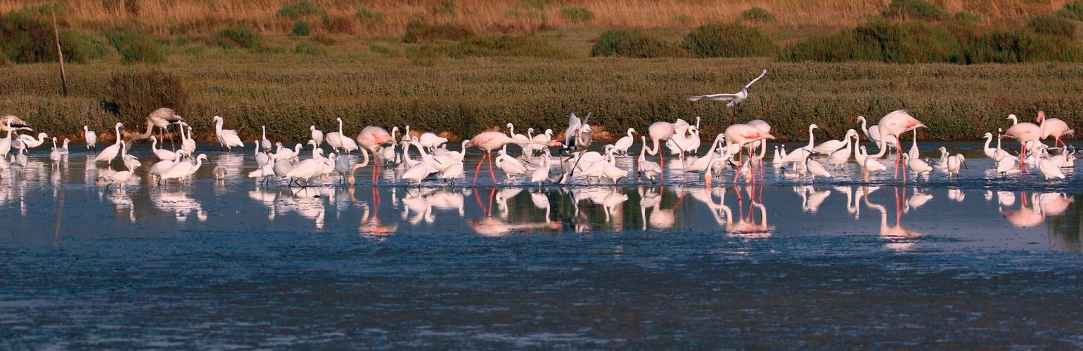 Una giornata alle  Oasi WWF con i bambini
