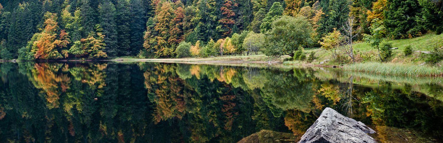 Foresta Nera con i bambini