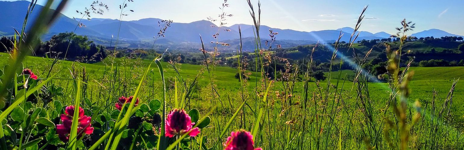 I castelli più belli delle Marche con i bambini