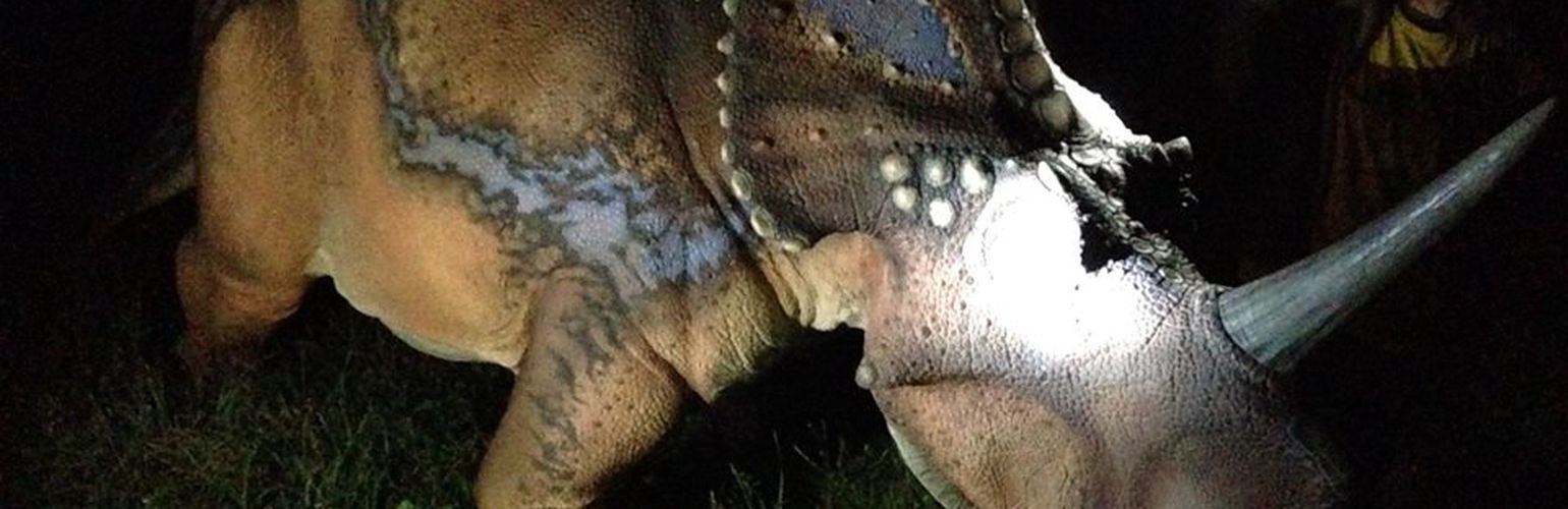 Sauronotte: la mostra dei dinosauri in carne e ossa con i bambini