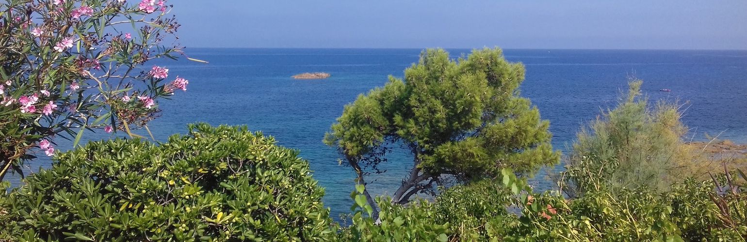 Le cinque spiagge più belle della Corsica