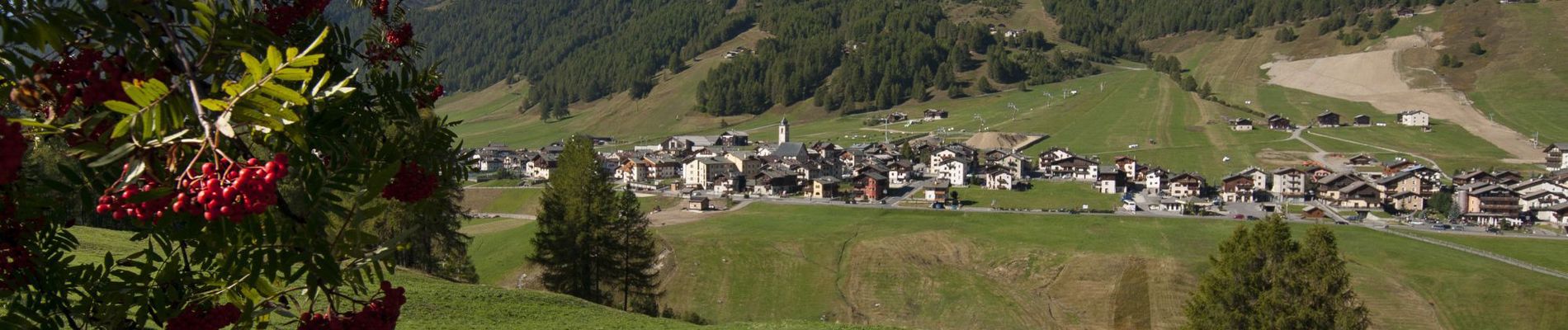 Montagna