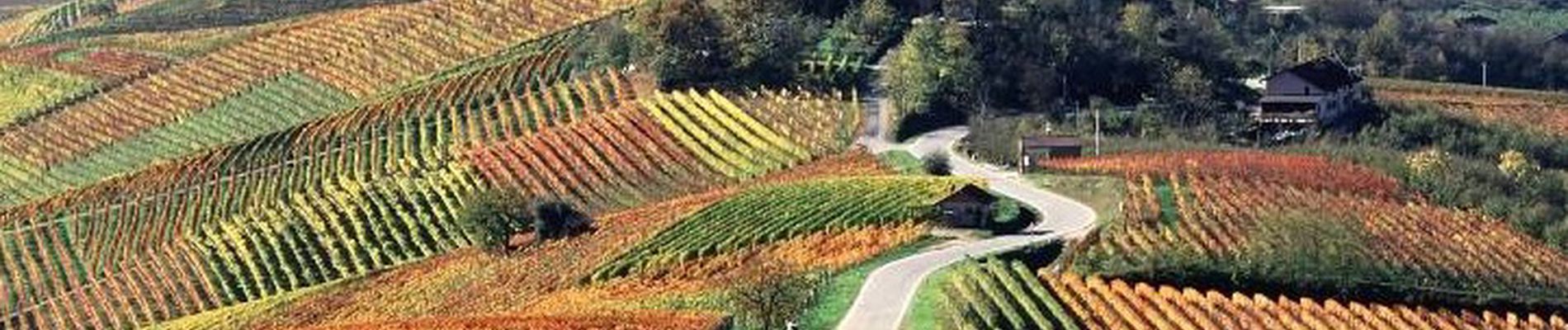 Piemonte
