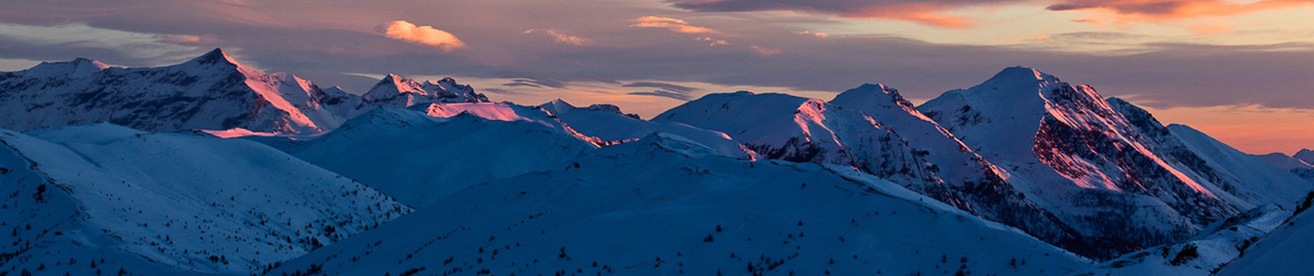 Alpi