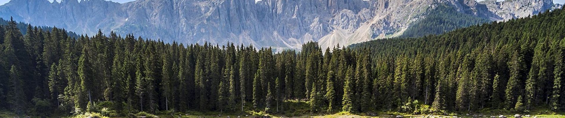 Dolomiti
