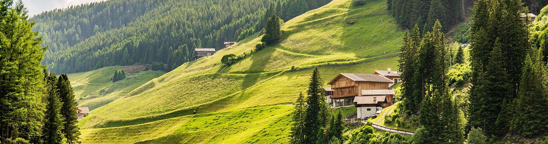 In Montagna